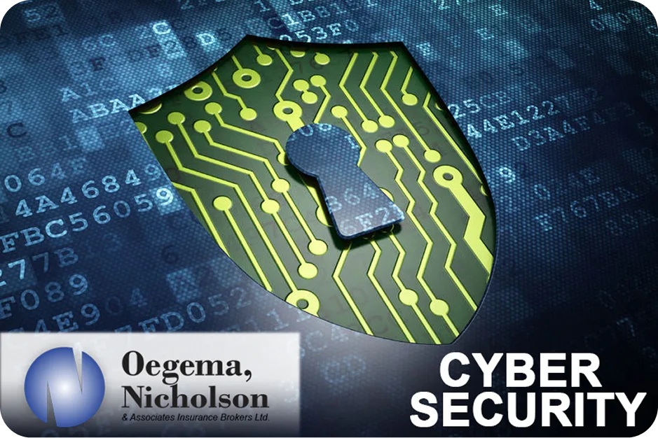 Steps To Safeguard Your Business - Oegema, Nicholson & Associates
