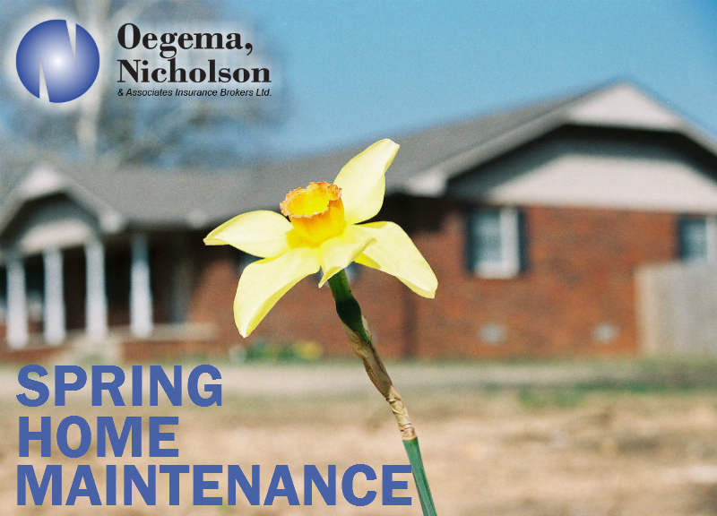 spring home maintenance tips