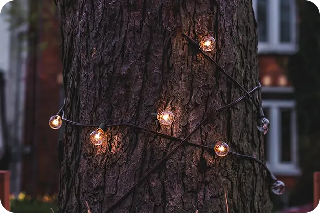 Strings Of Lights - Oegema, Nicholson & Associates