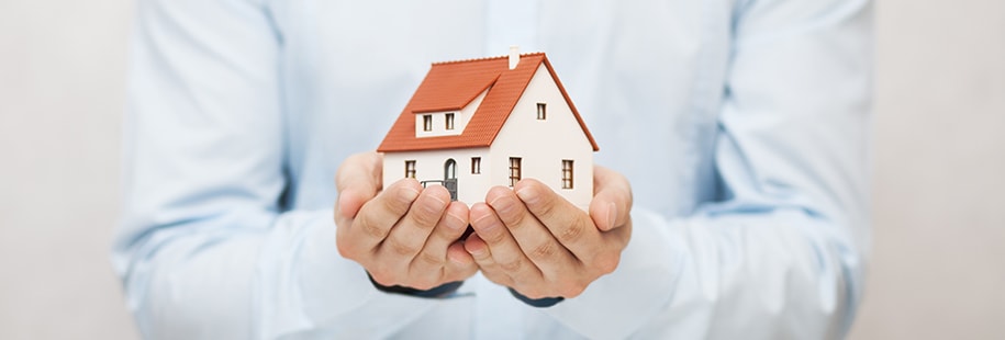 Home & Property Insurance 
