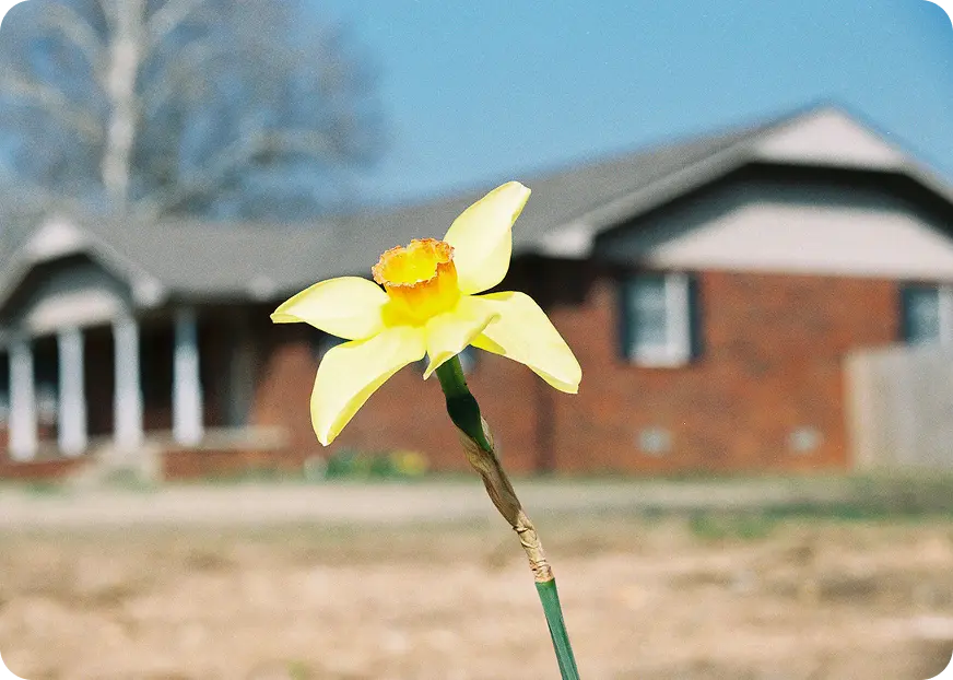 Spring Home Maintenance Tips - Oegema, Nicholson & Associates - Oegema, Nicholson & Associates
