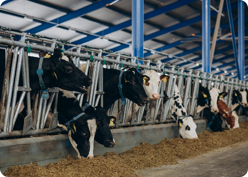 Agricultural Risks Insurance - Oegema, Nicholson & Associates
