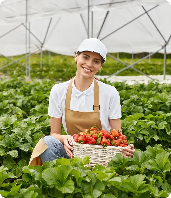 Insurance That Shields Your Hobby Farm - Oegema, Nicholson & Associates