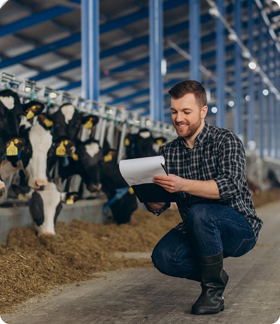 What Does Livestock Insurance Cover? - Oegema, Nicholson & Associates