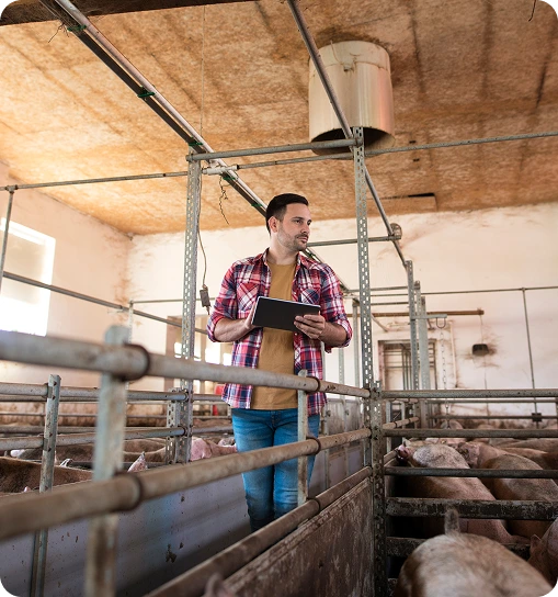 Farmers Need Liability Insurance For Livestock - Oegema, Nicholson & Associates