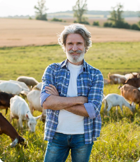 Livestock Price Protection For Producers - Oegema, Nicholson & Associates