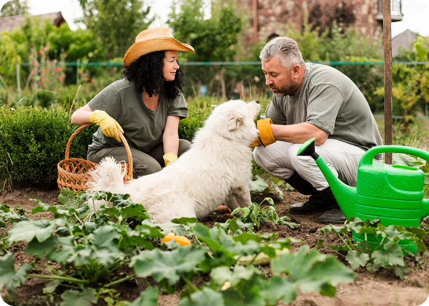 What is a hobby farm and how to insure it? - Oegema, Nicholson & Associates